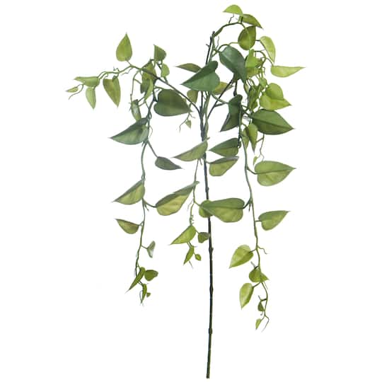 Green Heartleaf Philodendron Stem by Ashland&#xAE;